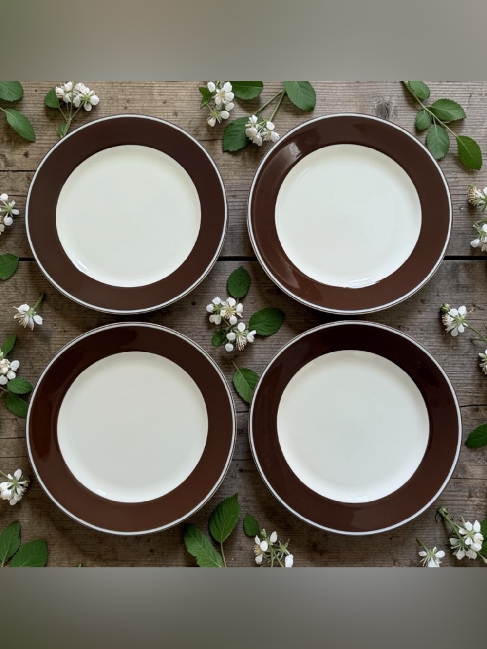 Kate Spade Lenox Market Street Collection Chocolate Dinner Plates 11.5” Set of 4